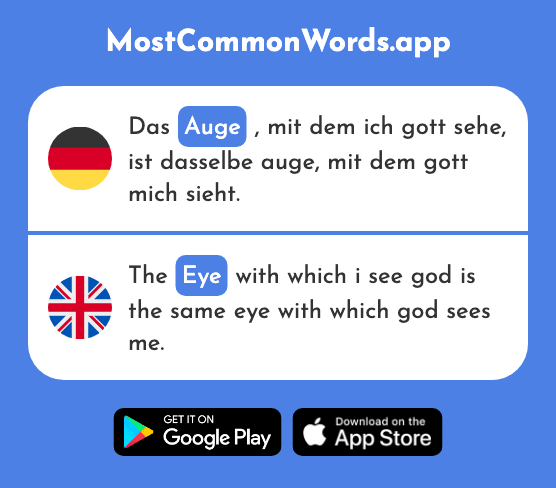 Auge - Eye (Das 222 Häufigste Wort In English)