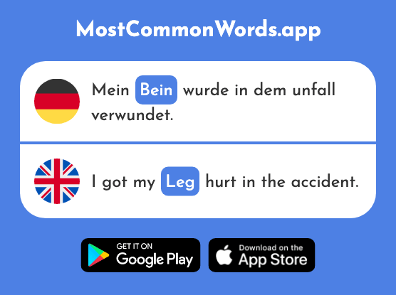 Bein - Leg (Das 884 Häufigste Wort In English)