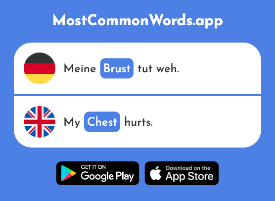 Brust - Breast, chest (Das 1783 Häufigste Wort In English)
