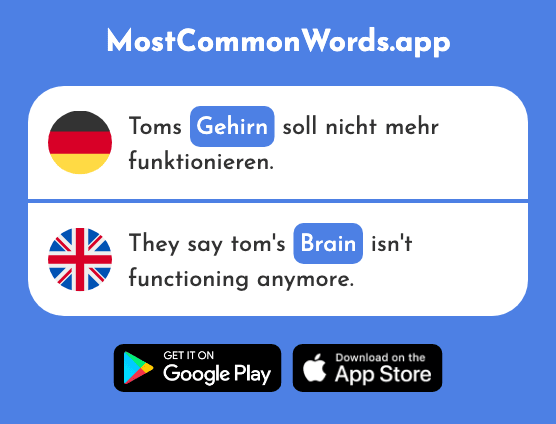 Gehirn - Brain (Das 1385 Häufigste Wort In English)