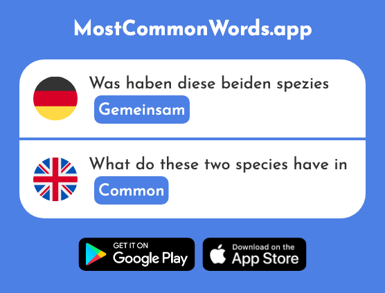 Gemeinsam - Common, mutual (Das 295 Häufigste Wort In English)