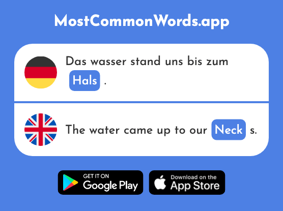 Hals - Neck, throat (Das 1591 Häufigste Wort In English)