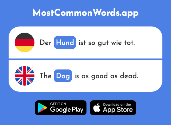 Hund - Dog (Das 825 Häufigste Wort In English)