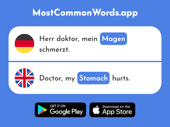 Magen - Stomach (Das 2606 Häufigste Wort In English)