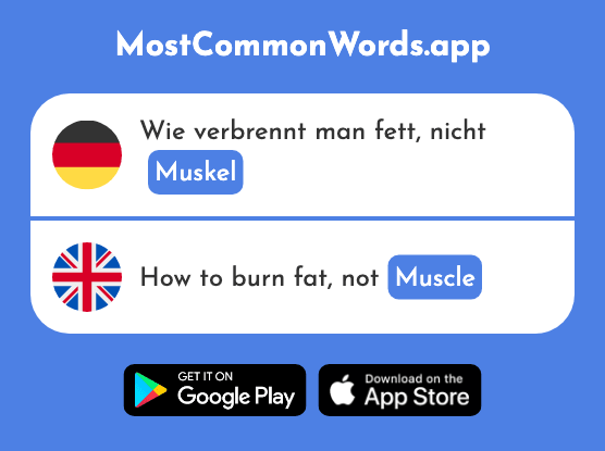 Muskel - Muscle (Das 1769 Häufigste Wort In English)