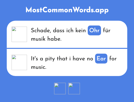 Ohr - Ear (Das 1088 Häufigste Wort In English)