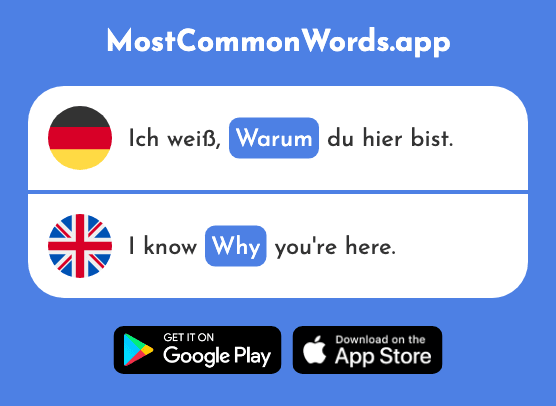 Warum - Why (Das 192 Häufigste Wort In English)