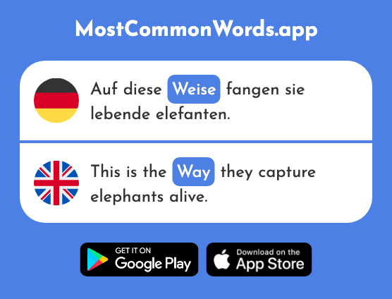 Weise - Way, manner (Das 468 Häufigste Wort In English)