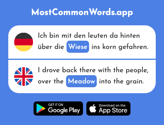 Wiese - Meadow (Das 2963 Häufigste Wort In English)