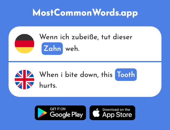Zahn - Tooth (Das 1871 Häufigste Wort In English)