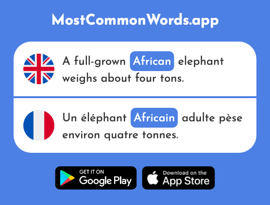 African - Africain (The 2289th Most Common French Word)