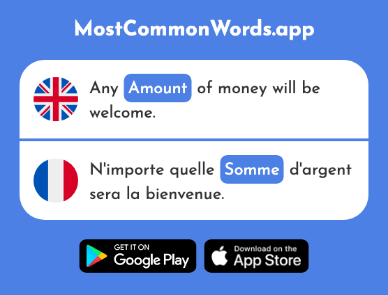 Amount, sum, nap - Somme (The 912th Most Common French Word)