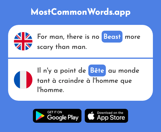 Animal, beast, stupid - Bête (The 2591st Most Common French Word)