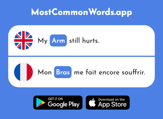 Arm - Bras (The 1253rd Most Common French Word)