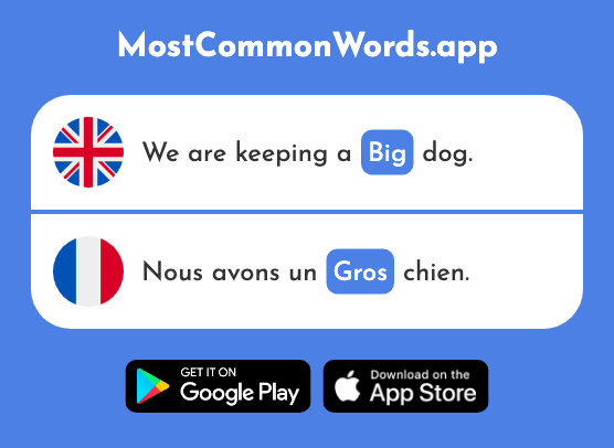 Big - Gros (The 419th Most Common French Word)