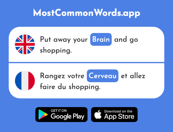 Brain - Cerveau (The 1990th Most Common French Word)