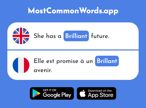 Brilliant - Brillant (The 2569th Most Common French Word)
