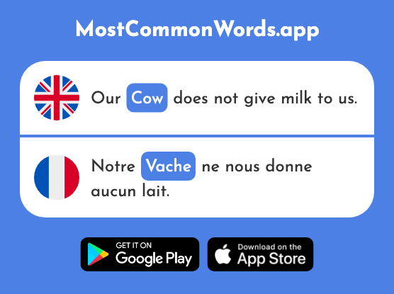 Cow - Vache (The 2768th Most Common French Word)