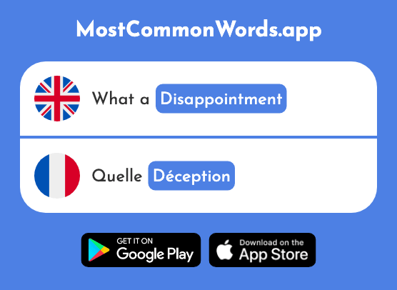 Disappointment, let-down - Déception (The 2821st Most Common French Word)