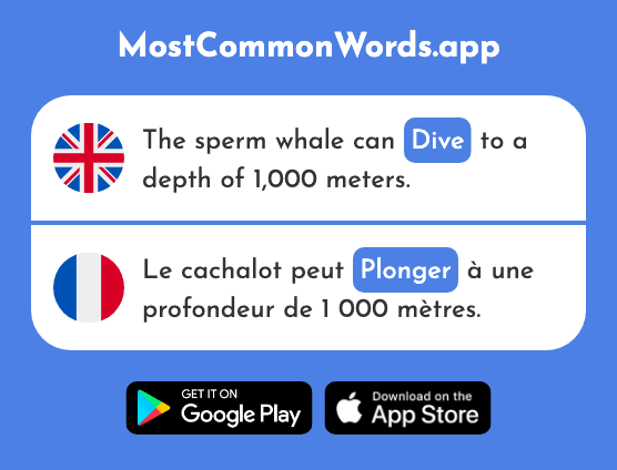 Dive - Plonger (The 1958th Most Common French Word)