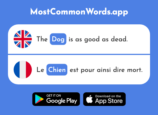 Dog - Chien (The 1744th Most Common French Word)