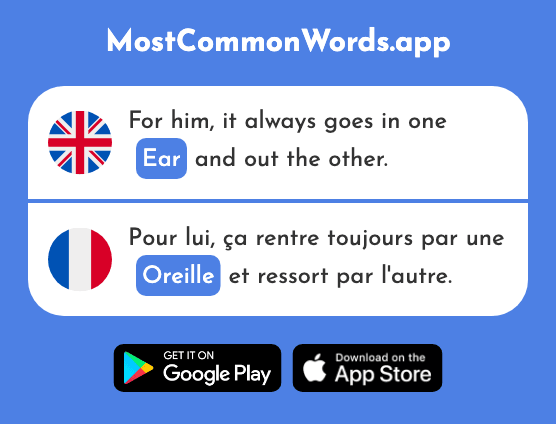 Ear - Oreille (The 1884th Most Common French Word)