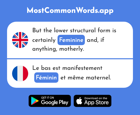 Feminine - Féminin (The 2381st Most Common French Word)