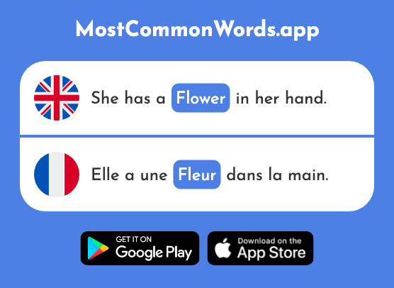 Flower - Fleur (The 2305th Most Common French Word)