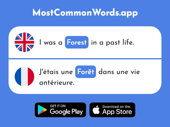 Forest - Forêt (The 1724th Most Common French Word)