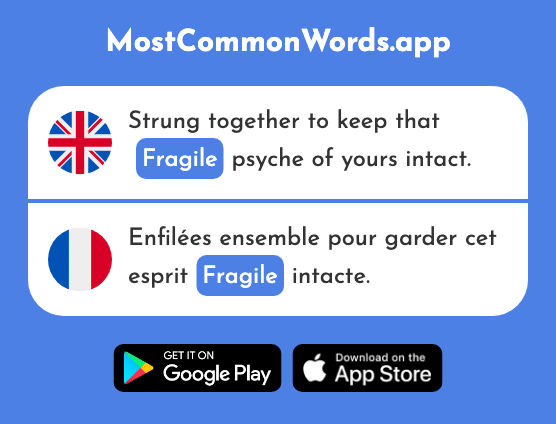 Fragile, delicate, frail - Fragile (The 2107th Most Common French Word)