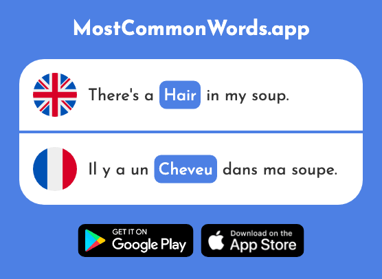 Hair - Cheveu (The 2296th Most Common French Word)