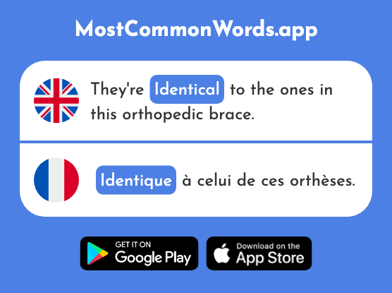 Identical - Identique (The 2677th Most Common French Word)