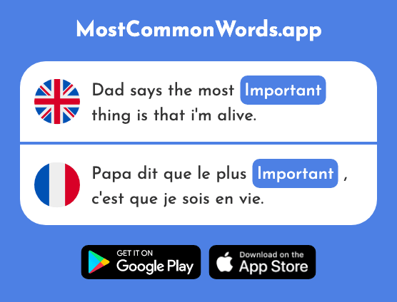 Important - Important (The 215th Most Common French Word)