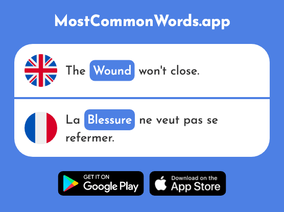 Injury, wound - Blessure (The 2481st Most Common French Word)