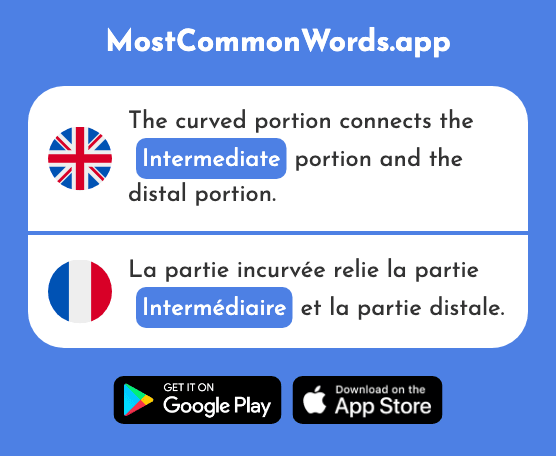 Intermediate, intermediary - Intermédiaire (The 2102nd Most Common French Word)