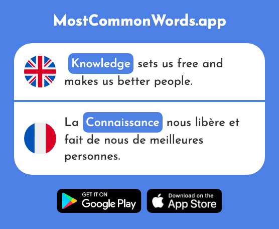 Knowledge - Connaissance (The 806th Most Common French Word)