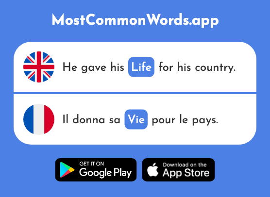 Life - Vie (The 132nd Most Common French Word)