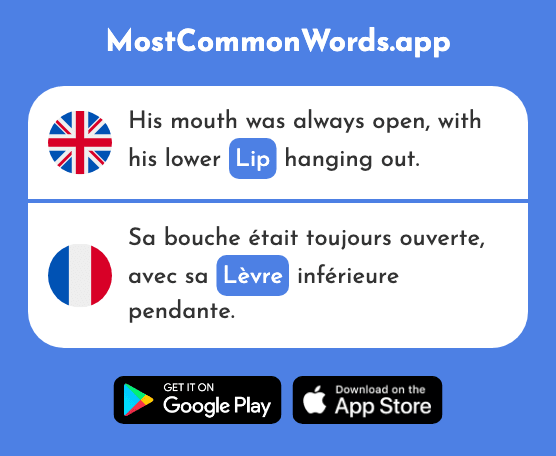 Lip - Lèvre (The 2927th Most Common French Word)