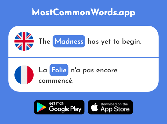 Madness, folly, insanity - Folie (The 2833rd Most Common French Word)