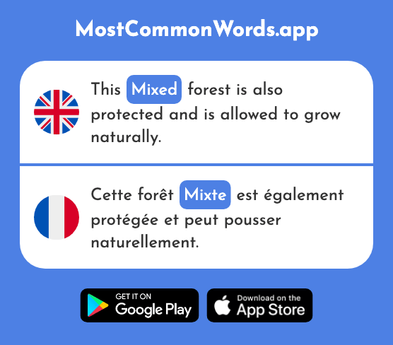 Mixed - Mixte (The 2875th Most Common French Word)