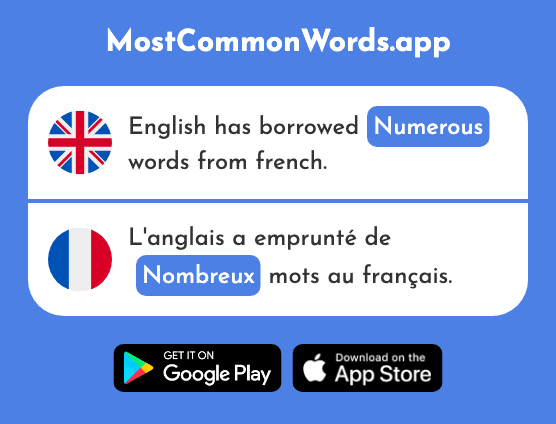 Numerous - Nombreux (The 366th Most Common French Word)