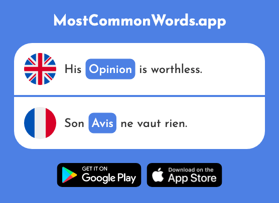 Opinion, mind - Avis (The 741st Most Common French Word)