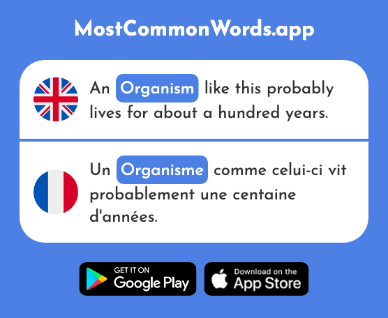 Organism - Organisme (The 1299th Most Common French Word)