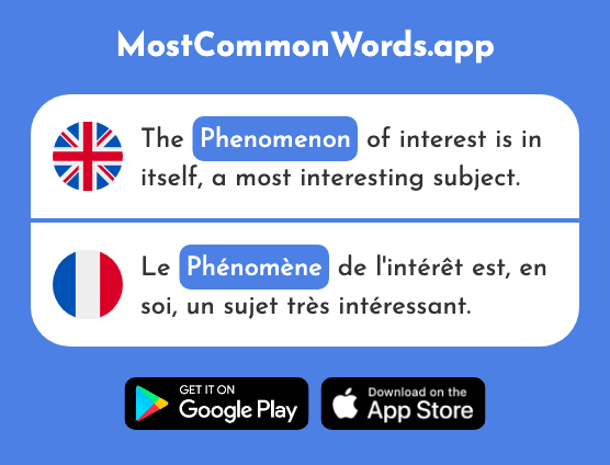 Phenomenon - Phénomène (The 1776th Most Common French Word)