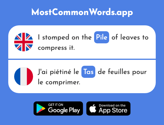 Pile, lots of - Tas (The 2723rd Most Common French Word)