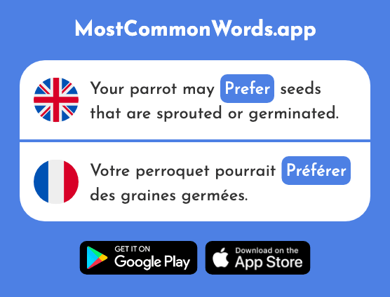 Prefer - Préférer (The 597th Most Common French Word)
