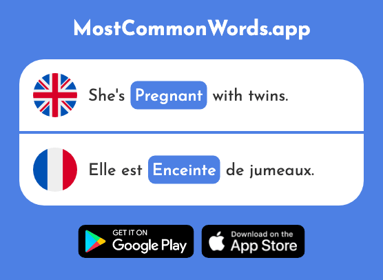 Pregnant, enclosure - Enceinte (The 2226th Most Common French Word)