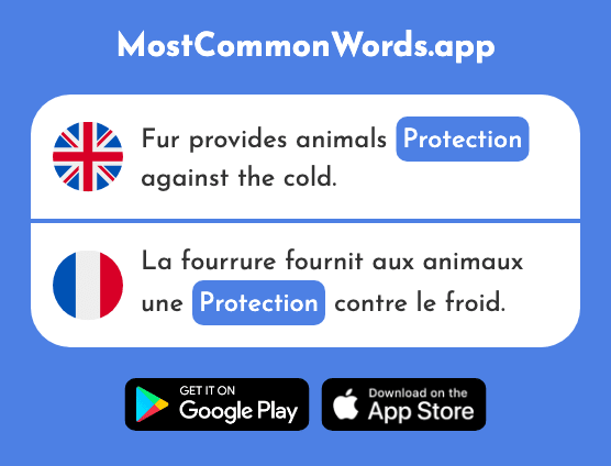 Protection - Protection (The 953rd Most Common French Word)