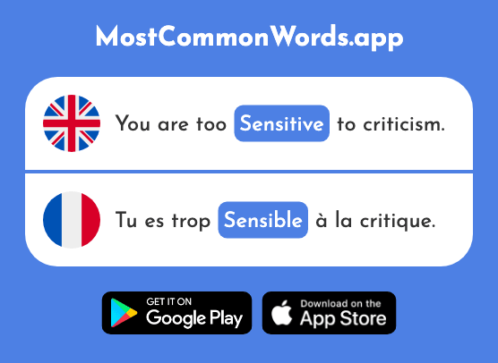 Sensitive - Sensible (The 1063rd Most Common French Word)