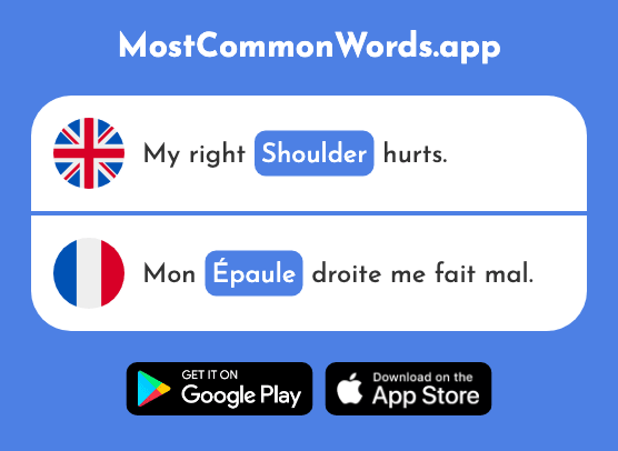 Shoulder - Épaule (The 2494th Most Common French Word)